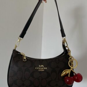 Party wear- Hand bag